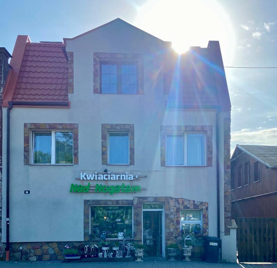 Glowna Apartamenty Nad Nogatem Malbork Exterior foto